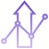 Growth Strategies